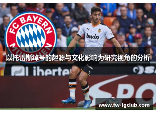 以托雷斯绰号的起源与文化影响为研究视角的分析