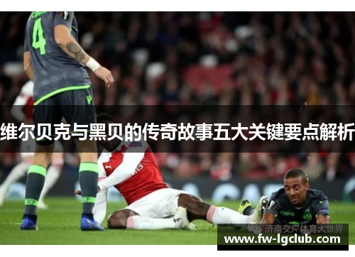 维尔贝克与黑贝的传奇故事五大关键要点解析 维尔贝克与黑贝的传奇故事五大关键要点解析